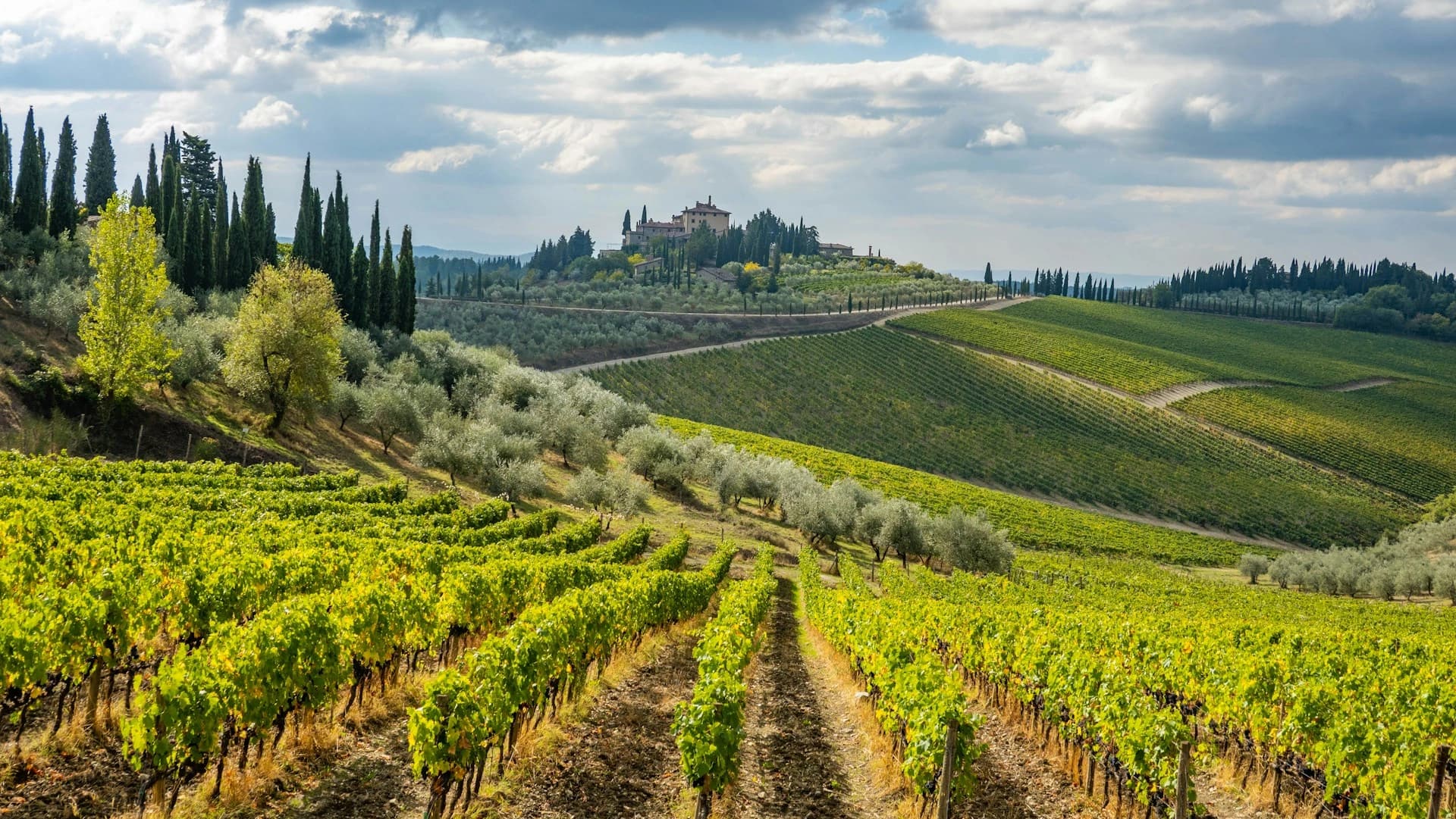 Chianti - Glimpse 1