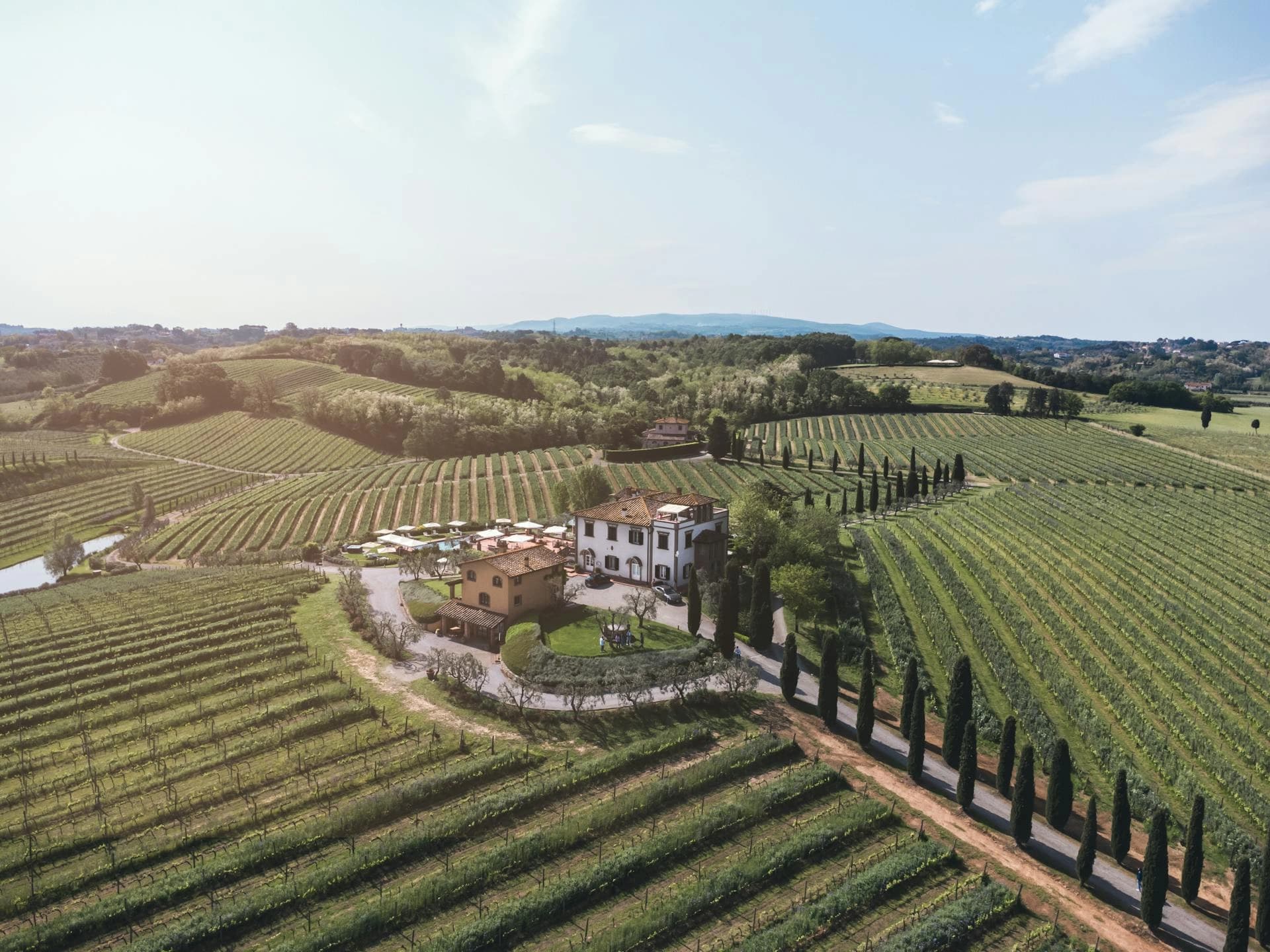 Chianti - Glimpse 4
