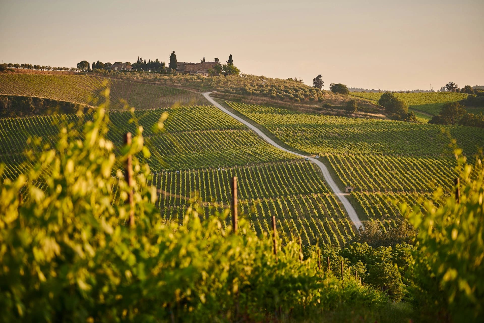 Chianti - Glimpse 2