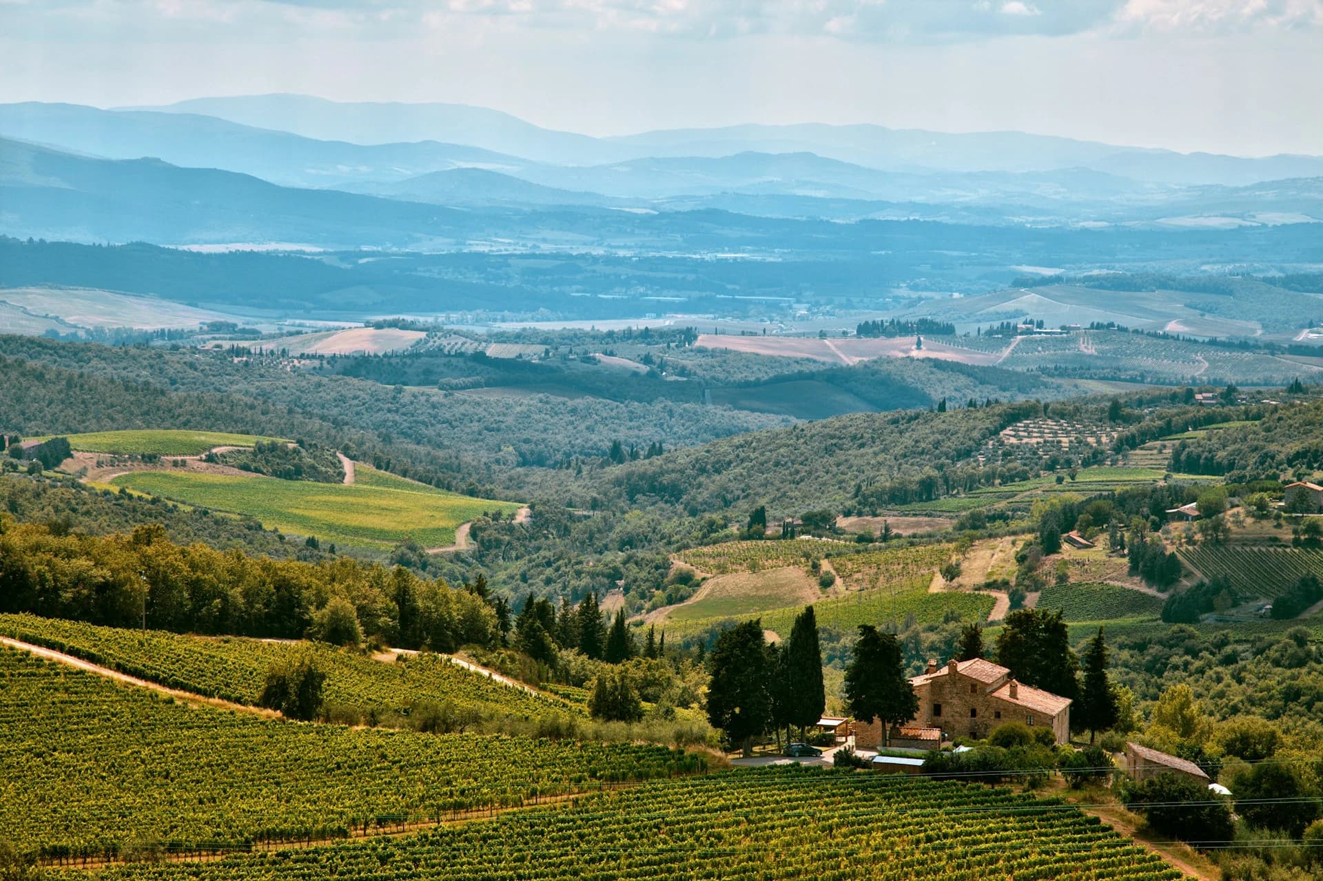 Chianti - Glimpse 3