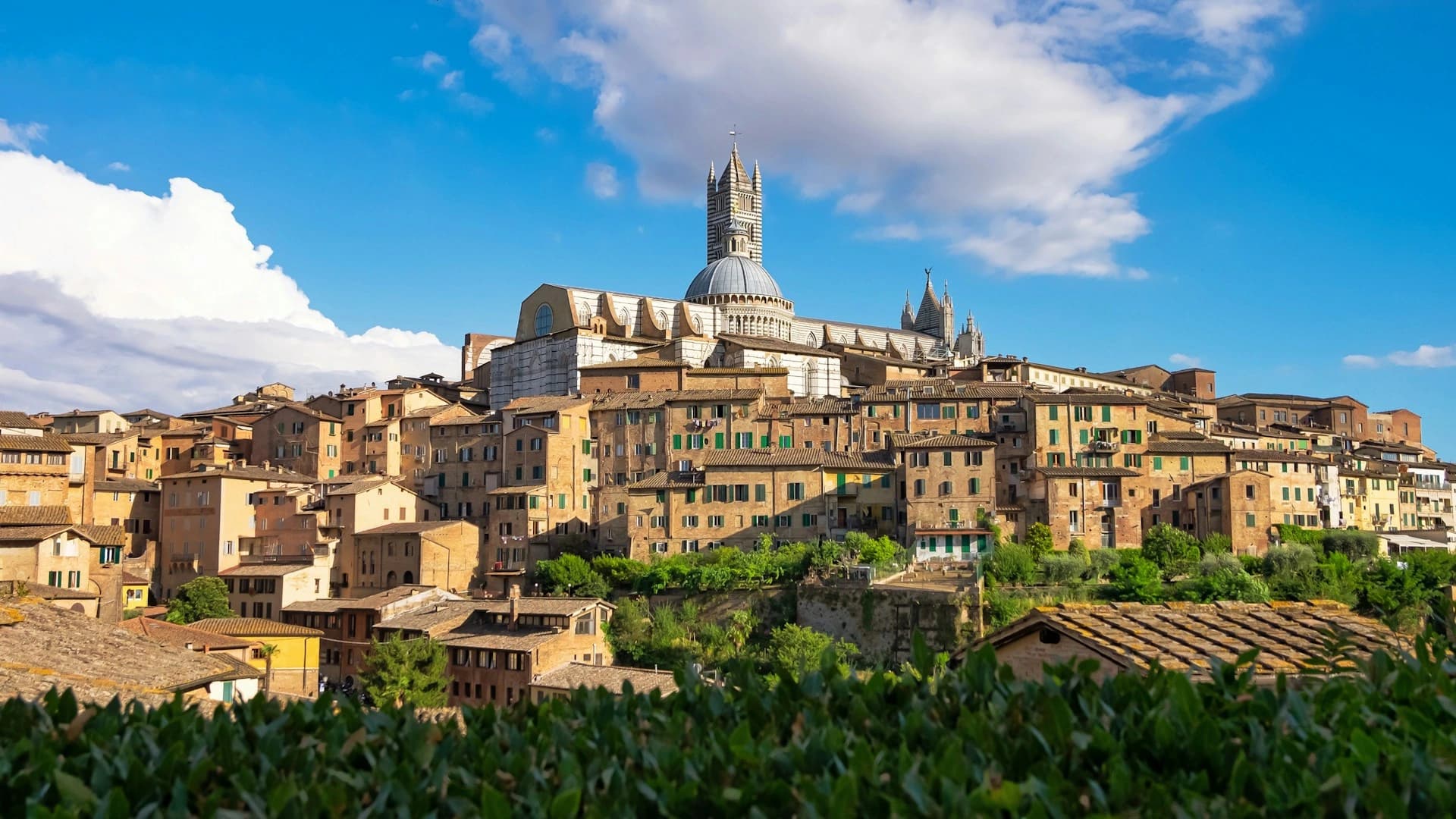 Siena & San Gimignano - Glimpse 1